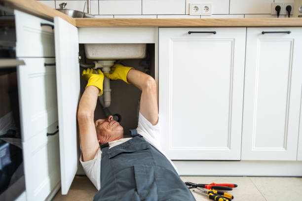 Best Septic Systems  in Potomac Park, CA